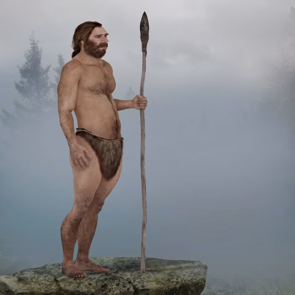 Các phát hiện khảo cổ cung cấp thông tin về cuộc sống của Neanderthals, từ cách họ chế tác công cụ đến cách họ xây dựng các nơi ở, thể hiện một sự phức tạp văn hóa và xã hội đáng kinh ngạc.