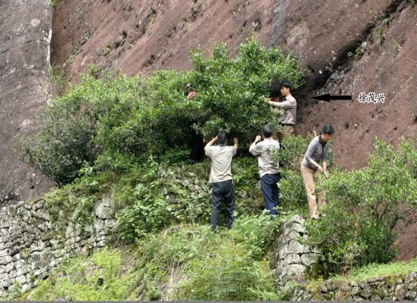 Những yếu tố này cùng với bí quyết chế biến độc đáo đã tạo ra một hương vị đặc trưng khác biệt và quý giá.