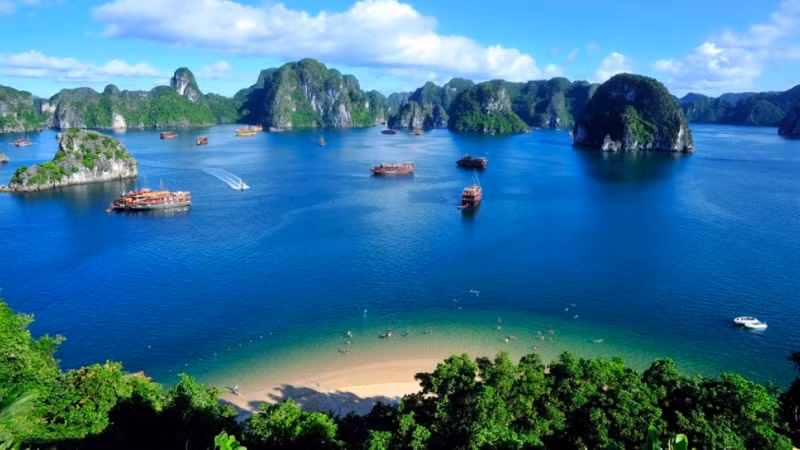 Vịnh Lan Hạ cũng nổi tiếng với hệ sinh thái đa dạng và đặc trưng. Du khách có thể tham gia vào các chuyến tham quan thuyền để khám phá hệ sinh thái biển, ngắm san hô, đảo và thảm thực vật biển phong phú. Điều này tạo ra một trải nghiệm du lịch tự nhiên độc đáo và thu hút người yêu thiên nhiên.