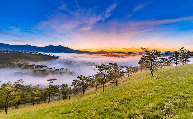 Đà Lạt, một thành phố nằm trên cao nguyên Lâm Viên của Việt Nam, đã trở thành một điểm đến được ưa thích của người Việt Nam nhưng vẫn chưa được du khách quốc tế khám phá nhiều.