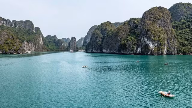 Các nhà nghiên cứu đã tiến hành các chuyến lặn ở Vịnh Hạ Long để khảo sát và thu thập các loài sinh vật biển.
