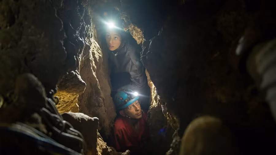Homo naledi được cho là ra đời khoảng 335.000 năm trước, tức xấp xỉ niên đại của Homo sapiens chúng ta (khoảng 300.000-350.000 năm trước, theo các nghiên cứu). Tuy nhiên họ chỉ sống song song trên địa cầu với chúng ta khoảng 100.000 năm, sau đó tuyệt chủng vào khoảng 236.000 năm trước.