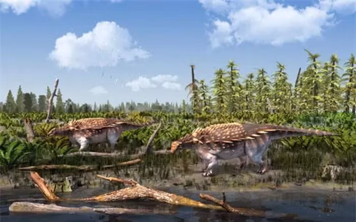 Ankylosauria là một nhóm khủng long có hình dạng đặc biệt, chỉ bò trên 4 chân và có thân mình "bọc thép" với bộ da chứa những gai giống như thanh kiếm sắc bén.