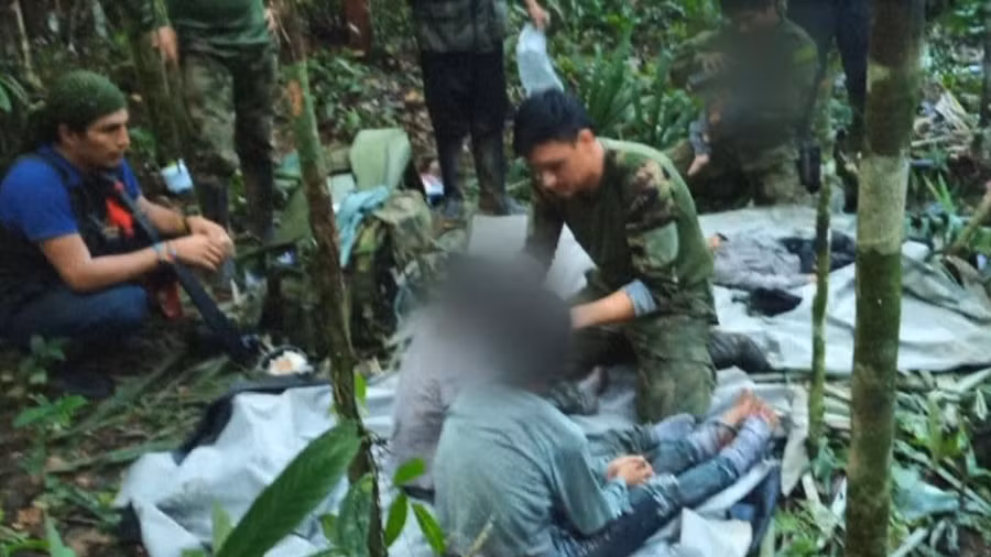 Chị lớn 13 tuổi biết những loại trái cây mà cô bé không thể ăn vì có nhiều loại trái cây độc trong rừng. Và cô bé biết cách chăm sóc một đứa trẻ.