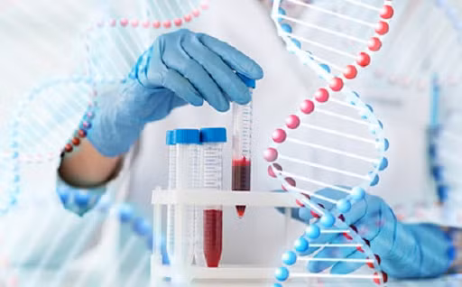 Kết quả xét nghiệm ADN cho thấy: Mẩu xương của bộ hài cốt trùng khớp kiểu gene với mẫu tóc của bà Vũ Thị Thu (chị ruột ông Vũ Xuân Trường)! Cũng theo kết luận của Viện Khoa học hình sự, trên xương sọ của ông Trường có vết tổn thương, nhiều khả năng ông Trường tử vong do chấn thương sọ não, thời gian chết khoảng hơn 24 tháng. Kẻ tình nghi số một là đối tượng từng sống tại căn nhà số 50, thời điểm ông Trường bị mất tích. Đó là Trần Thanh Tùng (SN 1975, đăng ký thường trú tại tổ 4, khu 1, phường Vàng Danh, TP Uông Bí, tỉnh Quảng Ninh). (Ảnh minh họa, nguồn internet) 