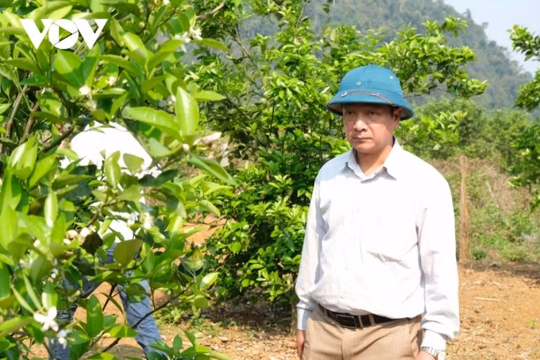  2 lãnh đạo huyện ở Lai Châu bị cách tất cả chức vụ vì đánh bạc: Ủy ban Kiểm tra Tỉnh ủy Lai Châu vừa công bố quyết định thi hành kỷ luật bằng hình thức cách chức tất cả các chức vụ trong Đảng đối với ông Nguyễn Quốc Vương (ảnh), Ủy viên Ban Thường vụ Huyện ủy, Phó Chủ tịch UBND huyện Sìn Hồ vì tham gia đánh bạc bằng hình thức đánh lô, đề. Ban Thường vụ Tỉnh ủy Lai Châu cũng quyết định khai trừ ra khỏi Đảng đối với ông Phí Văn Cường, Ủy viên Ban Chấp hành Đảng bộ huyện, Bí thư Chi bộ Thanh tra huyện Sìn Hồ, Ủy viên UBND huyện, Chánh Thanh tra huyện Sìn Hồ vì đã tham gia đánh bạc với hình thức đánh lô, đề và đã bị cơ quan chức năng khởi tố. (Ảnh: Báo Lào Cai).