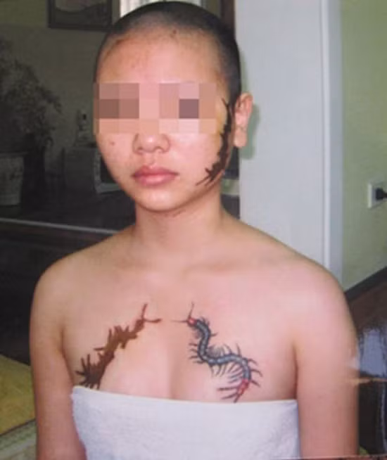 Sau những cơn thịnh nộ hoạn thư của các bà mẹ bỉm sữa, nhiều người đã phải vướng vào vòng lao lý do hành động côn đồ, bộc phát. Ảnh trong bài: Tổng hợp từ mạng xã hội.