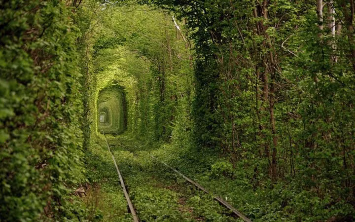 Đường hầm tình yêu, Klevan, Ukraine. Hầu hết mọi người nghĩ rằng đây là một đường ray cũ bị bỏ hoang, nhưng thực sự nó vẫn thực hiện đầy đủ chức năng và tàu chỡ gỗ cho nhà máy sợi đi qua 3 lần một ngày. Du khách đến thăm nơi này vì tin rằng, nếu hai người yêu nhau vượt qua Đường hầm Tình yêu tay trong tay, mọi mong muốn của họ sẽ thành hiện thực.