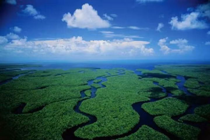 Everglades (Florida), Mỹ. Hãy đến Everglades (Nam Florida) - vùng đất ngập nước nhiệt đới với những hòn đảo Florida hiếm hoi mà việc mở rộng của người Homo Sapiens, ô nhiễm và canh tác đã hủy hoại hơn 50% hệ sinh thái độc đáo và mong manh ở đây. Đây là một trong số những địa điểm cực lãng mạn mà bạn nên đến trước khi chúng biến mất.