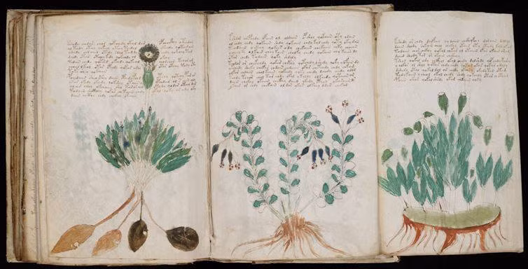 Bản thảo Voynich được đánh giá là cuốn sách bí ẩn nhất lịch sử nhân loại. Nguyên nhân là vì không ai có thể hiểu và đọc được nội dung cuốn sách được viết bằng một ngôn ngữ chưa từng được biết đến. Gồm 250 trang bằng da thuộc, nội dung bản thảo Voynich chứa rất nhiều hình vẽ vật thể như cây cối, thiết bị thí nghiệm cổ xưa, ký hiệu chiêm tinh.