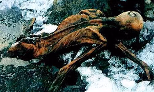 Ngày 19/9/1991, trong khi đang tìm đường vượt qua dãy núi Otztal Alps, 2 nhà leo núi người Đức vô tình phát hiện ra xác ướp hơn 5.000 năm tuổi Otzi được bảo quản nguyên vẹn trong băng. Đây được xem là xác ướp có niên đại lâu đời nhất Châu Âu. Phát hiện bất ngờ này giúp các chuyên giải mã những bí ẩn về cuộc sống của người xưa.