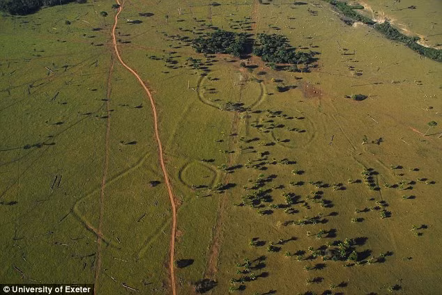 Cho đến nay, các nhà khoa học đã phát hiện ra khoảng 500 hình geoglyph ở Acre. Những đường hào hình thù bí ẩn sâu vài mét và rộng hàng trăm mét vuông.
