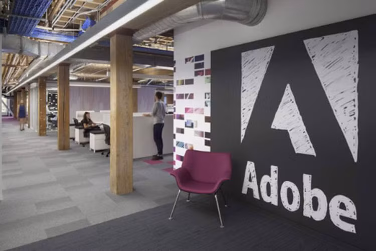 Adobe là tập đoàn phần mềm nổi tiếng của Mỹ, được mệnh danh là “doanh nghiệp có môi trường làm việc thoải mái nhất thế giới”. Không chỉ tạo cơ hội đào tạo kỹ năng mà Adobe còn mua bảo hiểm cho thú cưng của toàn bộ nhân viên. Bên cạnh đó, Adobe còn tổ chức “Tuần lễ hành động vì xã hội”, nhân viên có thể thông qua đó tham gia nhiều hoạt động công ích.