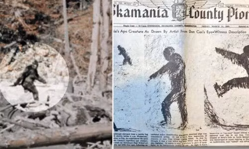 Bigfoot (quái vật chân to) hay còn gọi là Sasquatch là sinh vật trong truyền thuyết của người dân địa phương ở Tây Bắc Thái Bình Dương trong suốt nhiều thế kỷ.