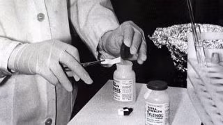 Về sau, James W. Lewis bị bắt giữ và kết án tù vì tội tống tiền hãng Johnson &amp; Johnson với số tiền 1 triệu USD để chấm dứt các vụ giết người bằng xyanua như trên.