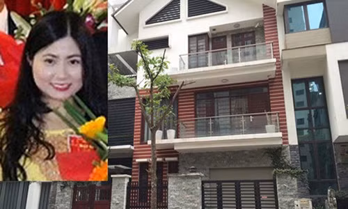 Ong Ngo Quoc Tuan bi xem xet trach nhiem bo nhiem ba Tran Vu Quynh Anh nhu nao?