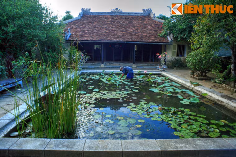 Phía trong, sau bức bình phong, trước ngôi nhà là một bể nước thả hoa súng; đây là yếu tố “minh đường” trong phong thủy.