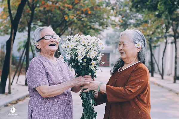 Một bó cúc họa mi giản dị nhưng vẫn đủ sức tỏa sắc làm đẹp thêm tình bạn già này.