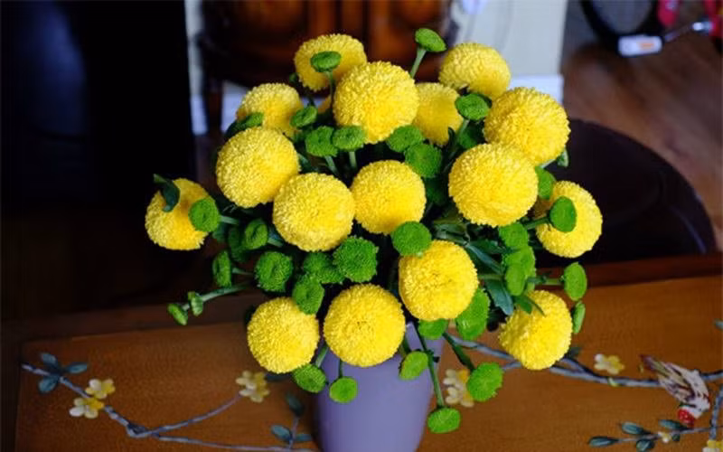 8. Cúc Pingpong: Cúc pingpong với hình dáng các cánh hoa xếp vào nhau tạo ra một khối cầu tròn tròn với mang ý nghĩa của sự đủ đầy, sung túc. (Thông tin trong bài chỉ mang tính tham khảo).