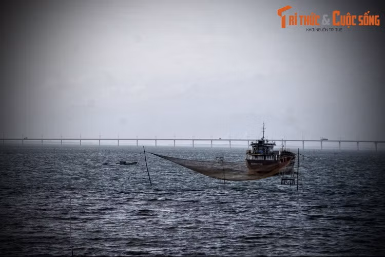 Đoàn thuyền ngụy trang của quân Nguyễn đã luồn sâu vào đội hình hạm đội Tây Sơn khiến hoạt động của hạm đội này bị rối loạn. Khi dính đòn hỏa công từ hạm đội chủ lực của chúa Nguyễn, các chiến thuyền Tây Sơn chỉ còn biết chống cự trong tuyệt vọng.