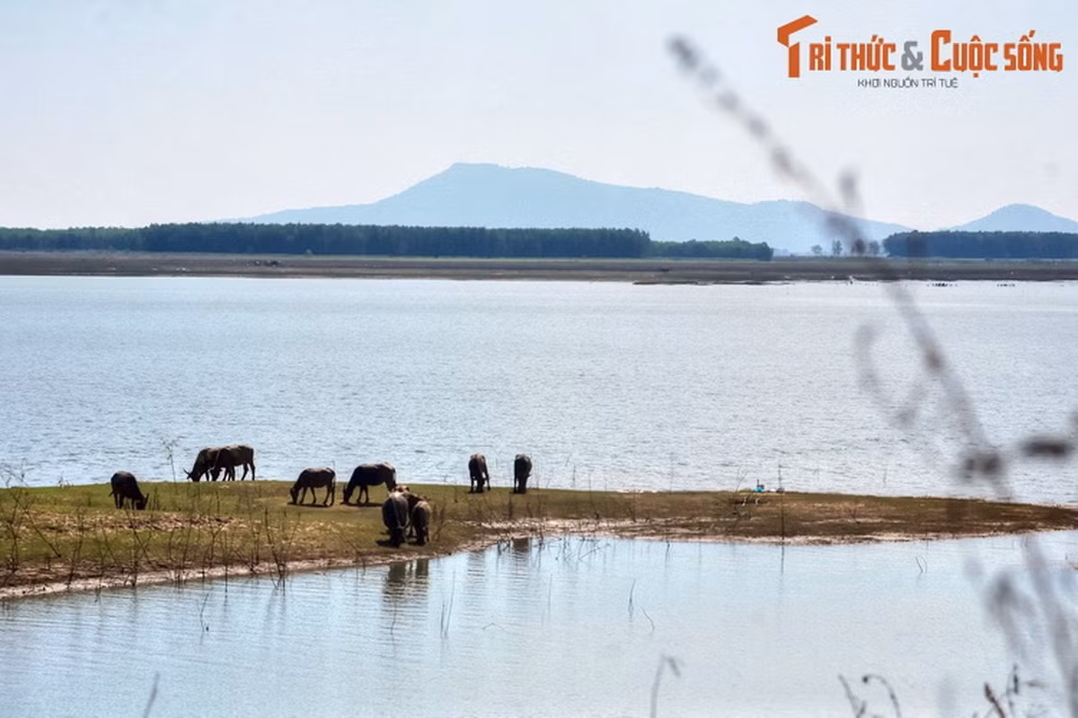  2. Hồ Dầu Tiếng (Tây Ninh, Bình Dương và Bình Phước). Nằm trên địa bàn ba tỉnh Đông Nam Bộ, hồ Dầu Tiếng có diện tích mặt nước là 270 km² và 45,6 km² đất bán ngập nước, là hồ nhân tạo có diện tích lớn nhất Việt Nam và là một danh thắng vùng Đông Nam Bộ.