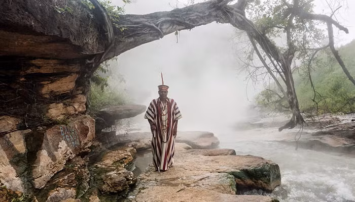 Tuy nhiên, khu vực này đang đối mặt với nguy cơ từ các hoạt động khai thác gỗ, chăn thả gia súc và khai thác nhiên liệu hóa thạch. (Ảnh: Cusco Native)