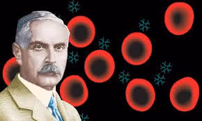 Karl Landsteiner đã phát hiện ra hệ nhóm máu ABO vào năm 1901 và tiếp tục tìm ra hệ nhóm máu Rh vào năm 1940, đưa thực hành truyền máu vào một kỷ nguyên mới. (Ảnh:Famous Scientists)