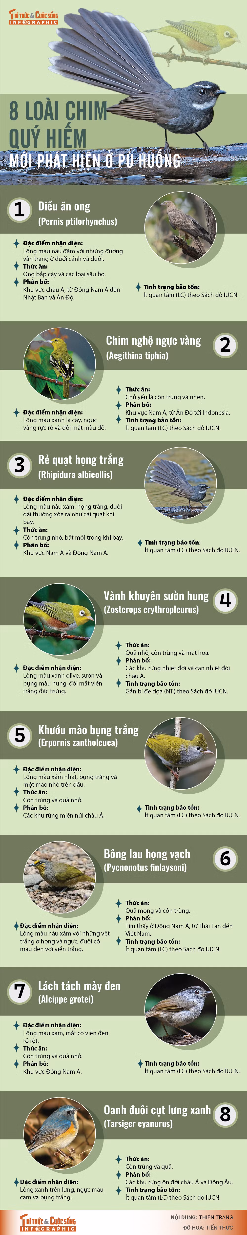 [INFOGRAPHIC]: 8 loai chim quy hiem moi phat hien o Pu Huong
