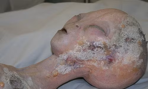 Công bố chấn động về kết quả tìm kiếm người ngoài hành tinh Cong bo chan dong ve ket qua tim kiem nguoi ngoai hanh tinh