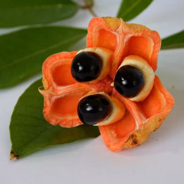Trong quả ackee có độc tố. Nếu ăn những quả chưa chín, bạn có thể bị ngộ độc hypoglycin gây ra một loạt các triệu chứng nghiêm trọng như lượng đường trong máu thấp, nôn mửa, yếu, thậm chí tử vong trong vòng một ngày.