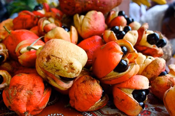 Với món ăn chế biến từ quả ackee, người Jamaica ăn cùng với cá muối (thường làm từ cá tuyết). Đầu bếp Cuthbert Binns vốn là bếp trưởng một nhà hàng lâu năm tại Jamaica chia sẻ cách chế biến sao cho bổ dưỡng mà không sợ ngộ độc.