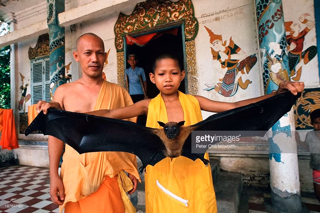 Chú tiểu người Khmer cầm trên tay một con dơi lớn tại chùa Dơi, Sóc Trang năm 1993.