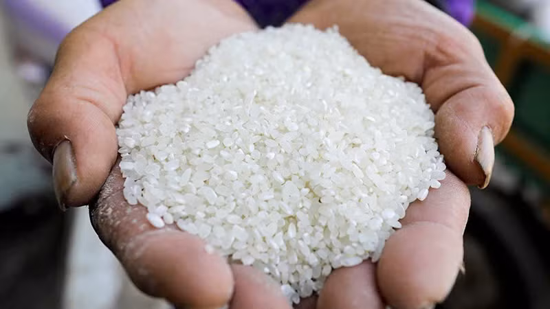 “Hạt ngọc” Việt Nam có giá đắt nhất thế giới “Hat ngoc” Viet Nam co gia dat nhat the gioi