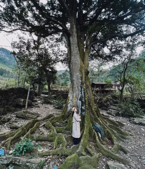 Ngoi lang ‘3 khong’ nghin tuoi an minh trong may o Ha Giang-Hinh-9