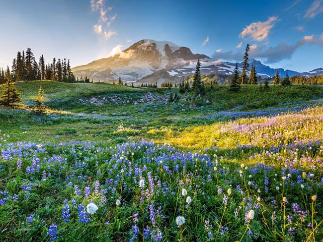 Núi Rainier, Washington: Núi Rainier không chỉ là một ngọn núi lửa đang hoạt động mà còn có tổng cộng sáu con sông. Đỉnh núi luôn được bao phủ tuyết quanh năm.