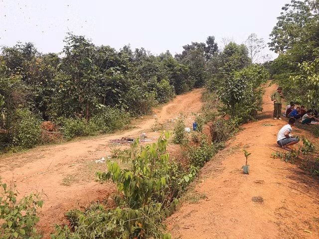 Lực lượng điều tra xác nhận thi thể trên là của chị Bùi Thị E. Qua khám nghiệm, công an phát hiện nạn nhân tử vong trong tư thế nằm, không mặc quần, áo bị tốc trùm vào mặt. Phần đùi nạn nhân có vết bầm, tím, trên cổ là vết cắt sâu do vật sắc nhọn gây nên. Trên cơ thể nạn nhân, công an cũng thu được một số mẫu vật sinh học, nghi của hung thủ để lại. Bước đầu, công an nhận định chị E đã bị hiếp dâm rồi sát hại hết sức dã man. Trước đó đã có sự bỏ chạy, vật lộn giữa nạn nhân và hung thủ. (Nơi chị E được phát hiện đã tử vong, ảnh tư liệu) 