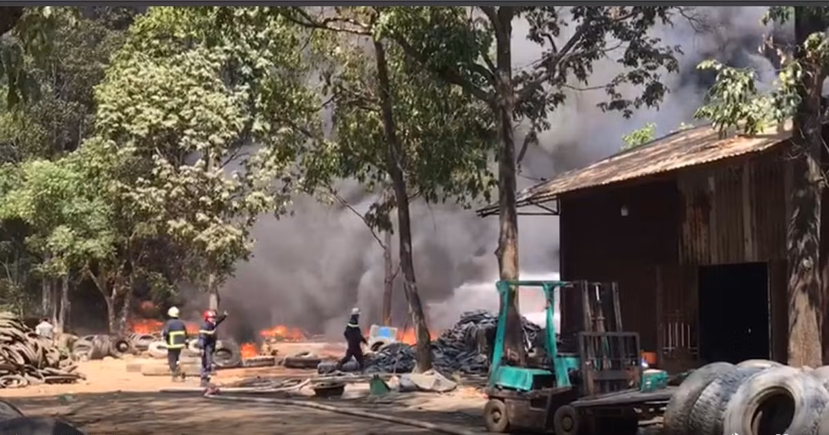 Bên trong bãi chứa lốp ôtô. Ảnh: Đình Trọng