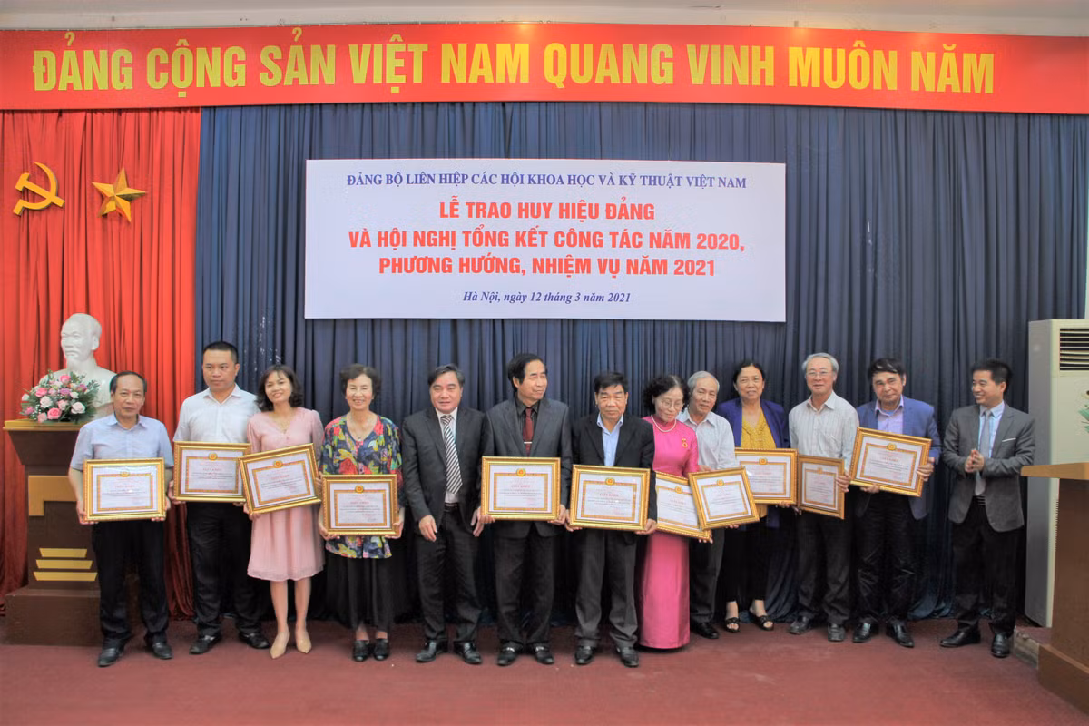 Trao Huy hieu Dang cho cac Dang vien cua Lien hiep Hoi Viet Nam-Hinh-5