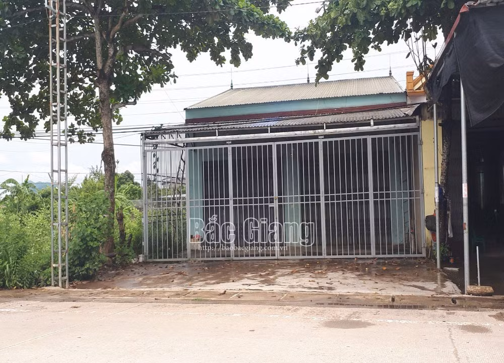Thay lang chua hiem muon “quan he” voi nguoi benh: Diem mat nhung ga bien thai-Hinh-2