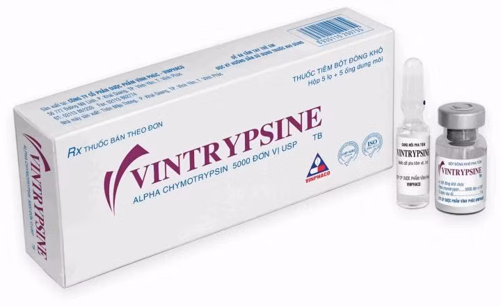 Thuốc bột đông khô pha tiêm Vintrypsine (ảnh minh họa).