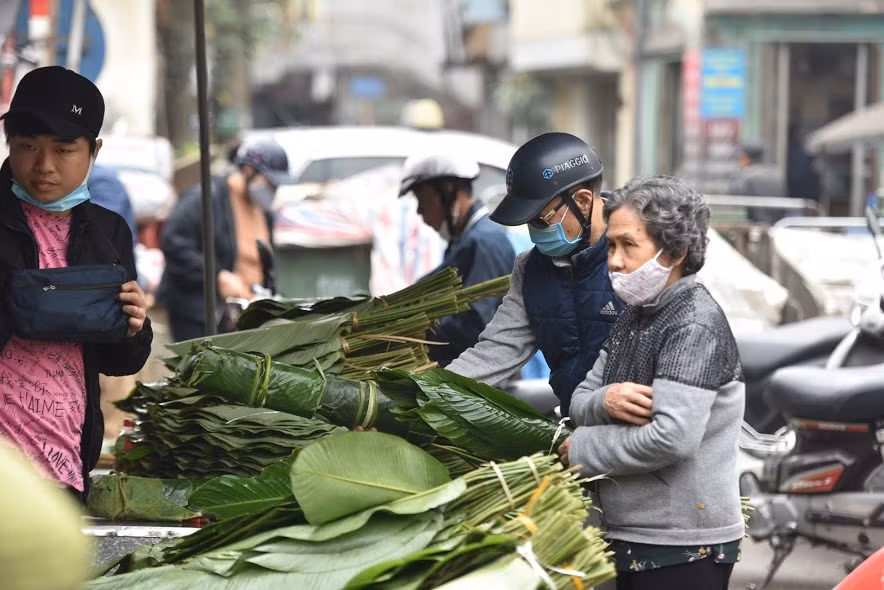 Lá dong ta được bán với giá 40.000 - 70.000 đồng/bó tùy loại lá to hay nhỏ.