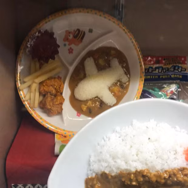 Một hãng hàng không Nhật Bản phục vụ hành khách món cơm cà ri có hình chiếc máy bay siêu dễ thương.