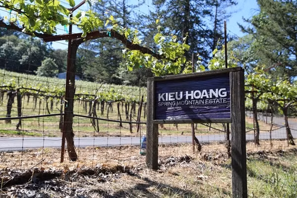 Tỷ phú Hoàng Kiều đã mua lại trang trại nho này từ gia đình Michael Mondavi – một gia đình nổi tiếng với nghề làm rượu nho tại Mỹ. Ảnh: Plo