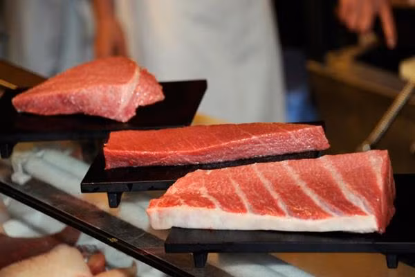 Cá ngừ vây xanh Oma của Nhật Bản là nguyên liệu để làm món sushi và sashimi hảo hạng nhất thế giới. Một lát cá ngừ vây xanh ngon nhất có thể được bán ra với giá 2.000 JPY (420.000 đồng) tại các cửa hàng sushi thượng cấp ở Tokyo.
