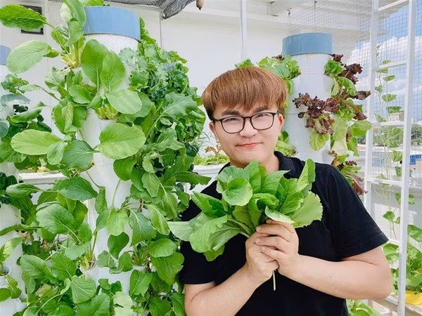 Mướt mắt vườn rau thủy canh thiết kế hiện đại trong nhà sao Việt Muot mat vuon rau thuy canh thiet ke hien dai trong nha sao Viet