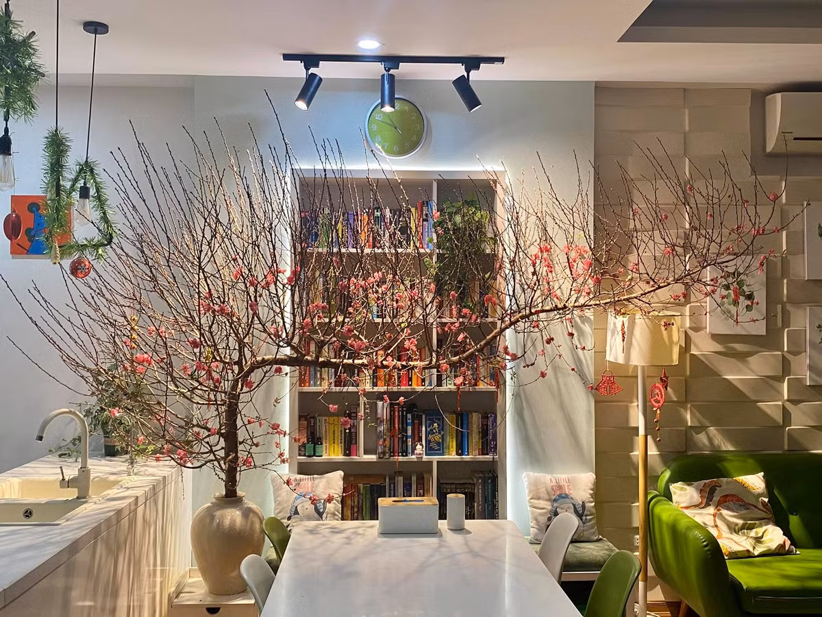 Dáng huyền theo ý nghĩa tự nhiên, cây thường sống trong điều kiện khí hậu khắc nghiệt như sườn núi, vách đá... nhưng vẫn có thể sống. Ảnh: Facebook