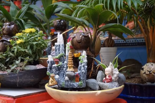 Qua bàn tay khéo léo của nghệ nhân, các bonsai dùa trở nên lạ mắt, độc đáo. Ảnh: Tiền phong.