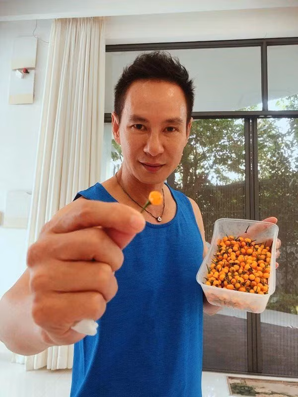 Loại ớt đắt đỏ có trái nhỏ, dáng tròn, vị cay đậm nhưng hậu thanh. Gia đình nam ca sĩ dùng để dầm nước mắm, chế biến với các món ăn hoặc ăn sống.