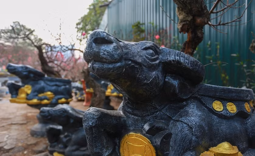Bích đào cổ đựng trong chậu hình con trâu ôm tiền vàng là sản phẩm hút khách trong năm nay của anh Phạm Văn Quân, chủ vườn ở phường Phú Thượng (quận Tây Hồ). Ảnh: Zing.