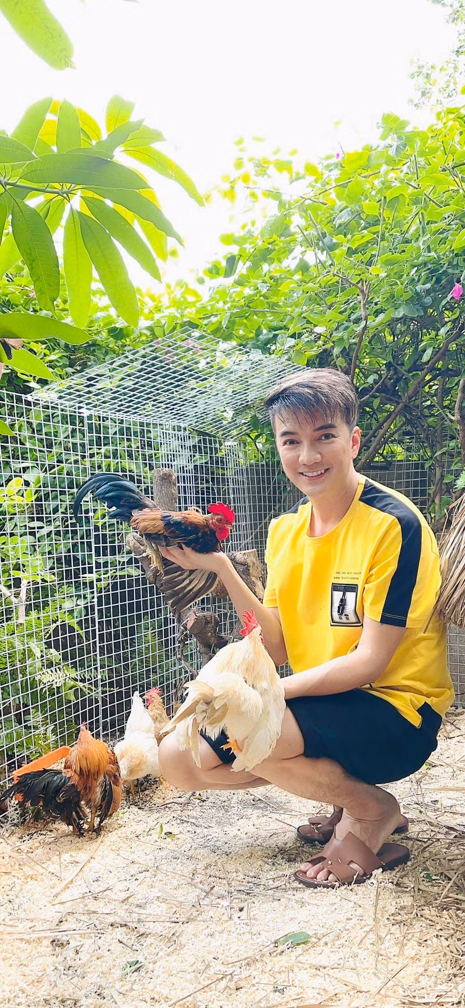 Đặc biệt, Mr Đàm còn dành một góc để nuôi gà, thỏ, chim...